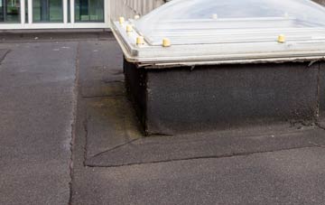 disadvantages of Alder Moor flat roofs