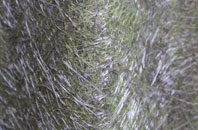 Alder Moor fibreglass roof work